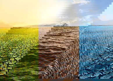 Nitrous oxide emissions accelerating due to increased fertilizer demand — study