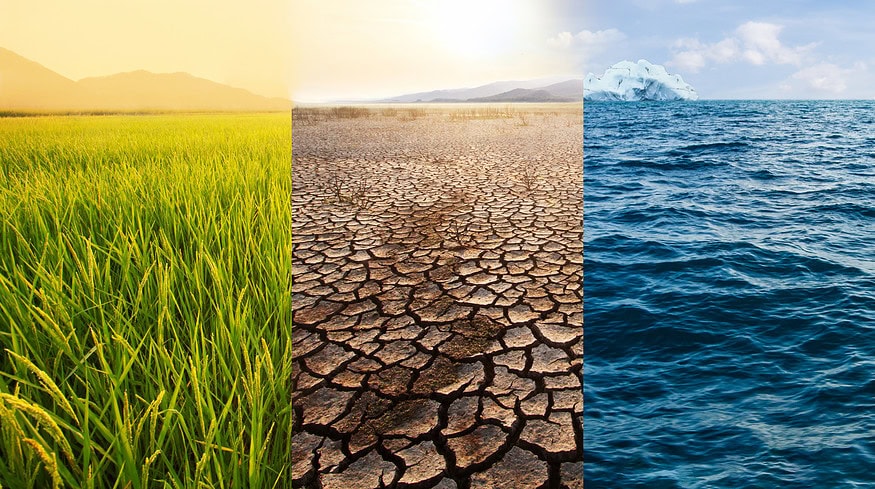 Nitrous oxide emissions accelerating due to increased fertilizer demand — study