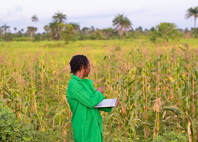 WACOT launches new herbicide and trains 5,000 farmers in Southwest Nigeria