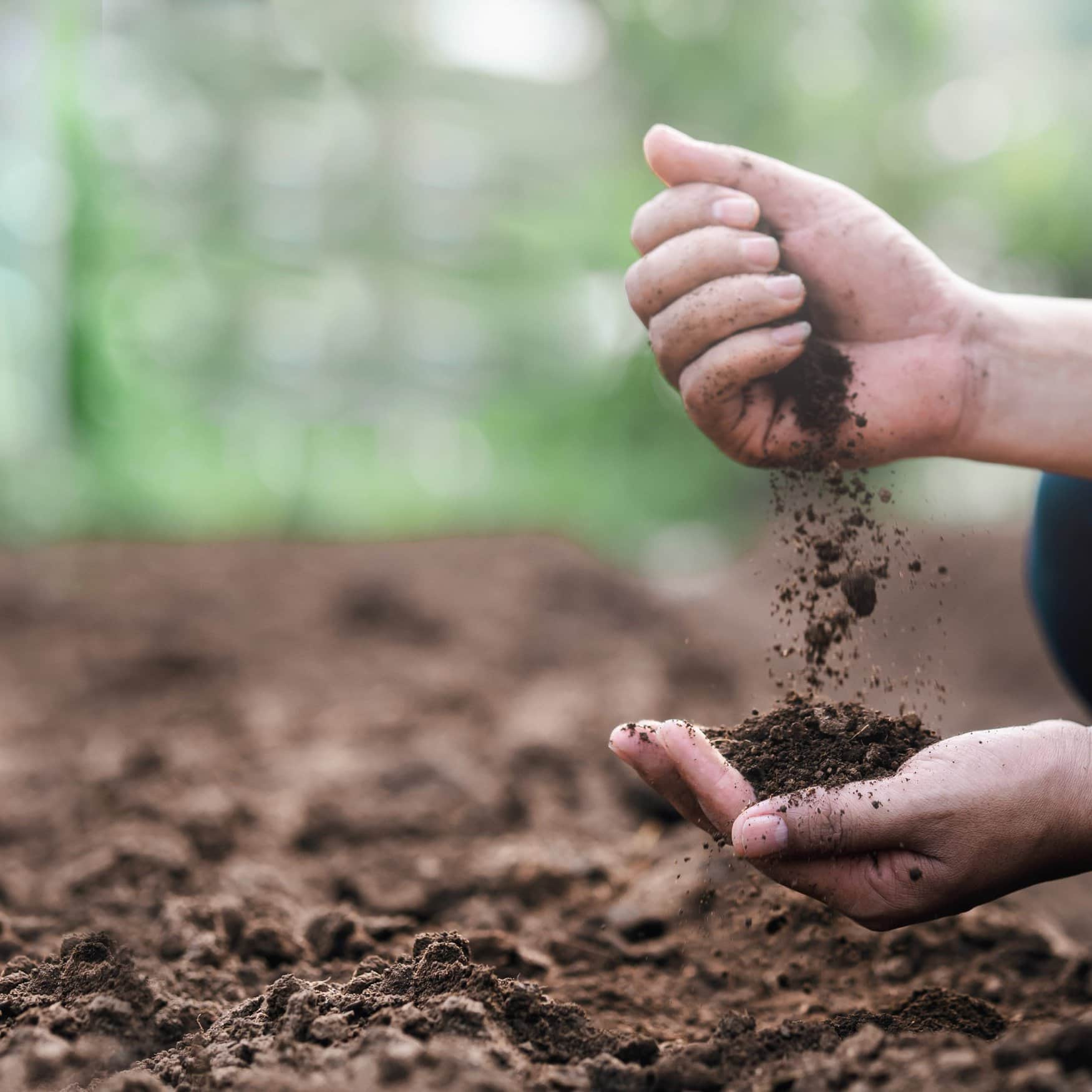 Tips for improving your soil microbiome