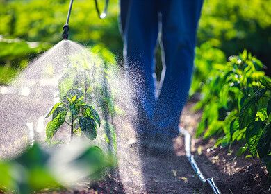 Bayer presses for legal shield amid Roundup cancer allegations