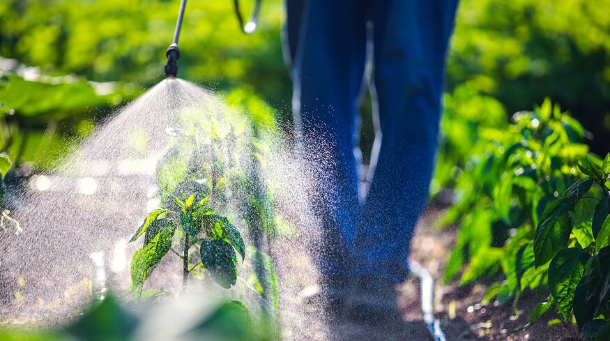 Bayer presses for legal shield amid Roundup cancer allegations