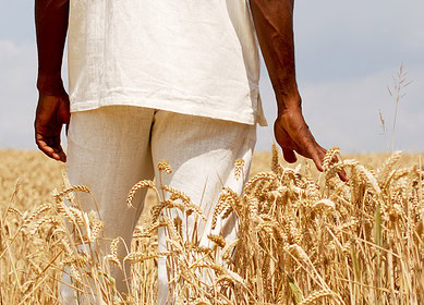 Ethiopia invests $94 million to become self-sufficient in wheat production