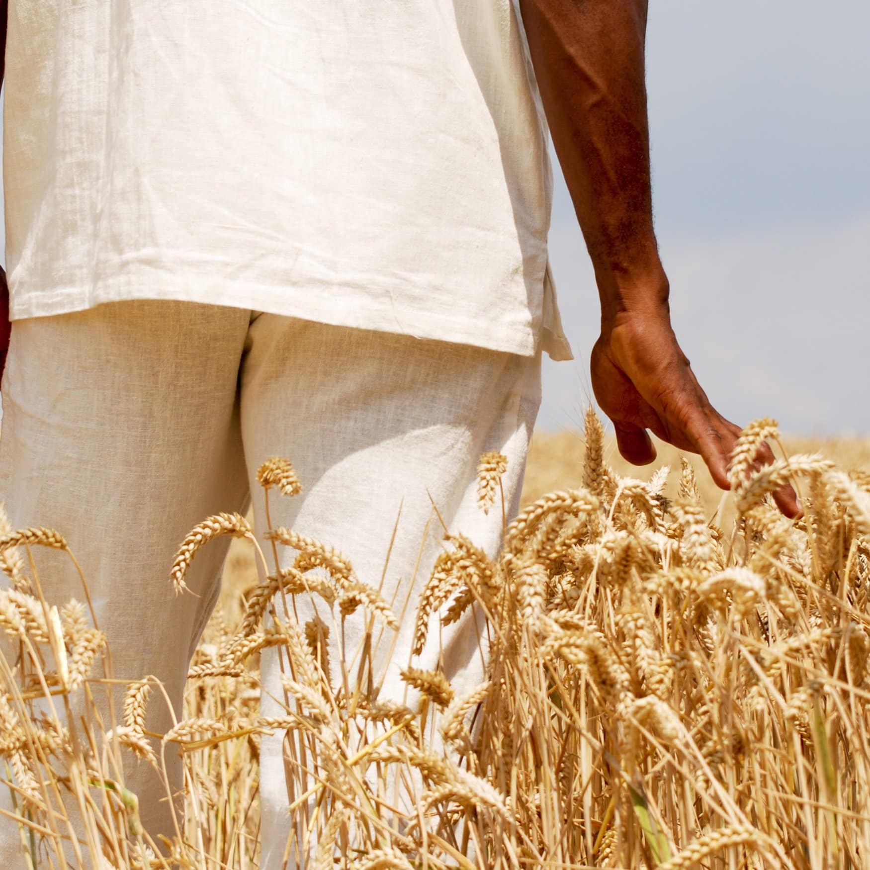 Ethiopia invests $94 million to become self-sufficient in wheat production