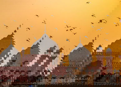 Pakistan orders third-party audit of fertilizer companies