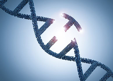 EU divided over gene-edited food rules amid regulatory deadlock