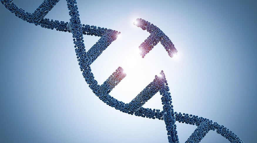 EU divided over gene-edited food rules amid regulatory deadlock