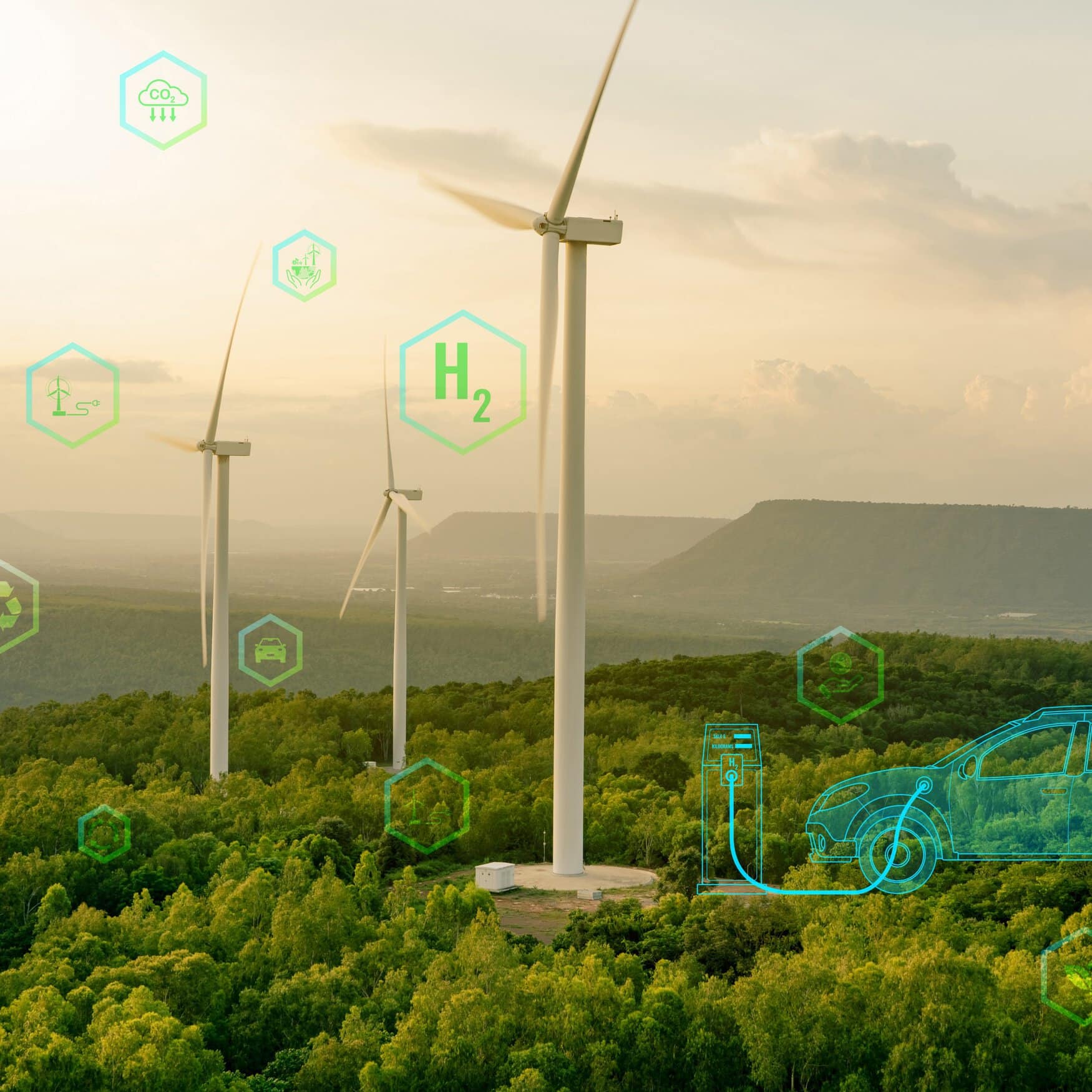 India boosts green ammonia allocation for fertilizer sector