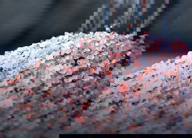 Mosaic reports strong sales performance for April and May 2024