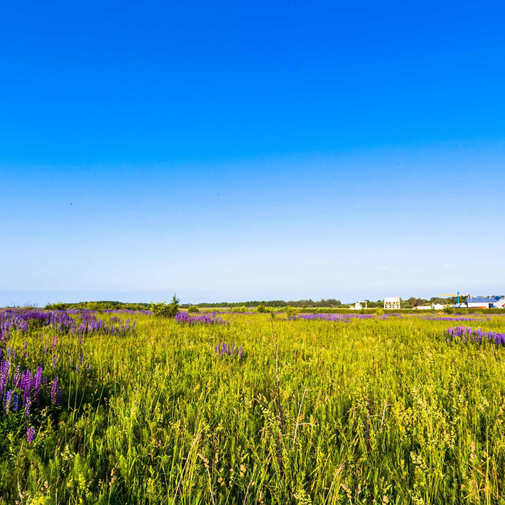 JERA advances fuel ammonia technology