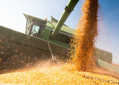 Brazil’s crop traders surprised by new tax regulations — Bloomberg