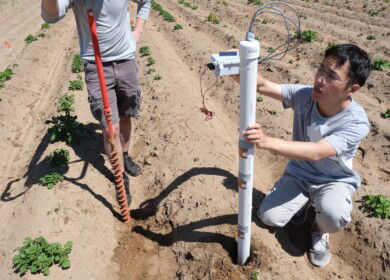 UW-Madison engineers unveiled innovative nitrate monitoring soil sensors