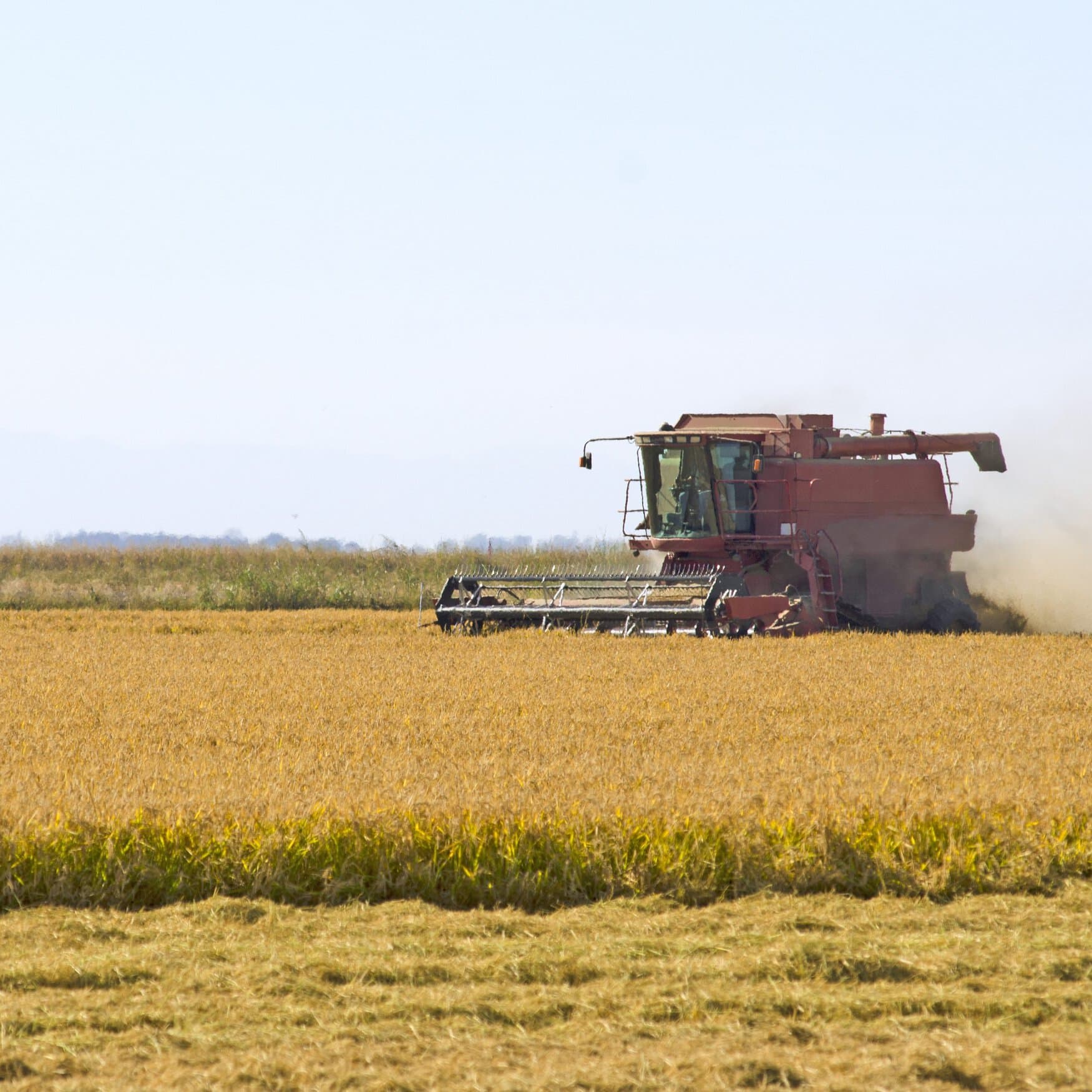 Nutrien backs sustainable rice agriculture with $1mn commitment