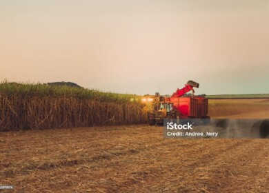 Bunge offloads 50% share in BP Bunge Bioenergia to BP