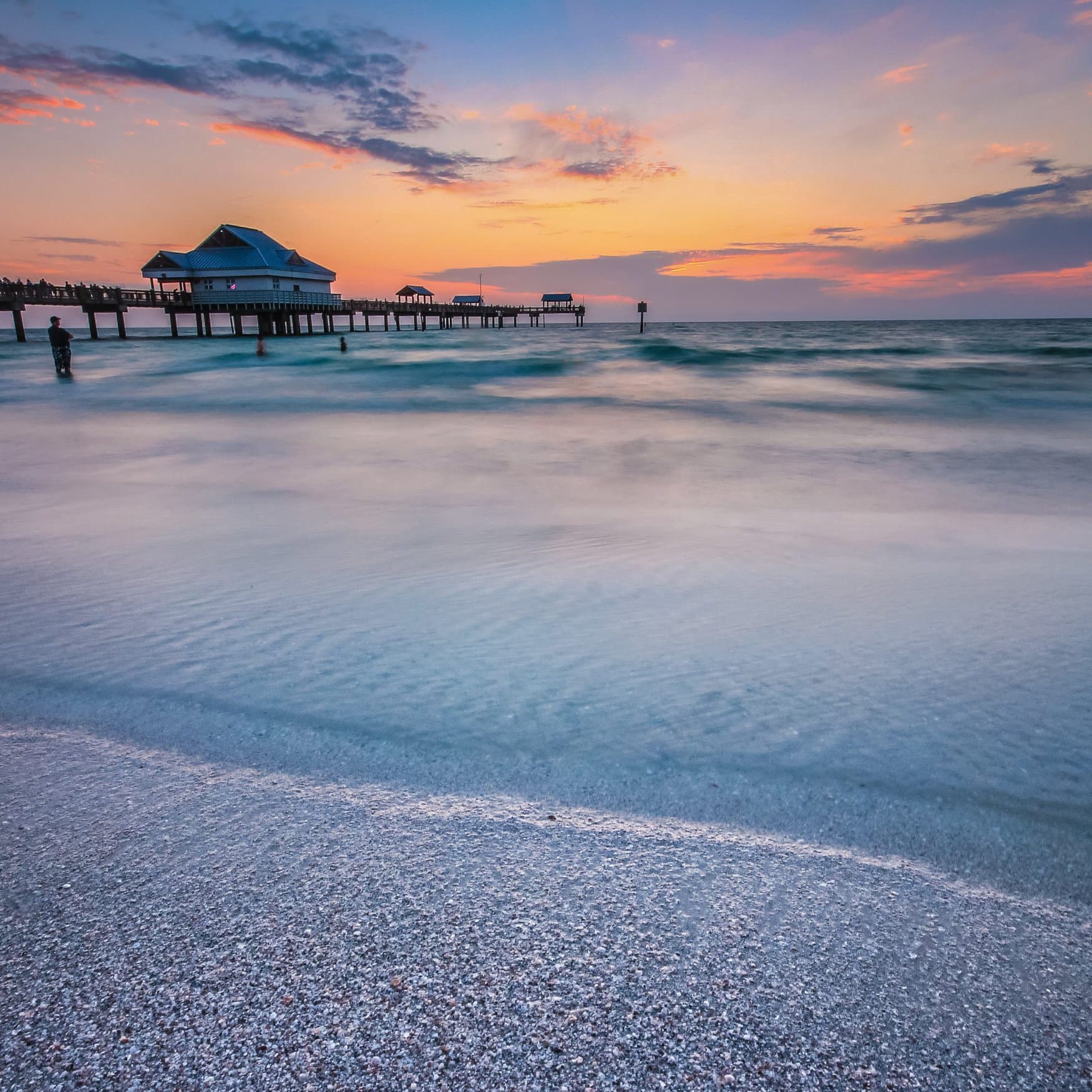 Tampa Bay ecologists urge reduced fertilizer use to protect waterways