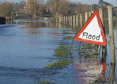 England’s farm incomes in 2023 are down by 19% due to severe flooding