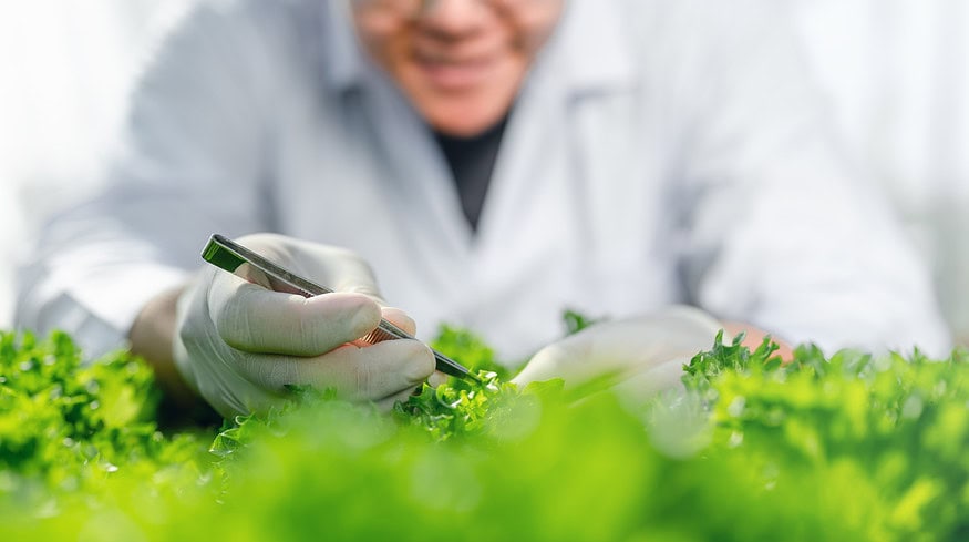 $23 million boost for horticultural research in Canada