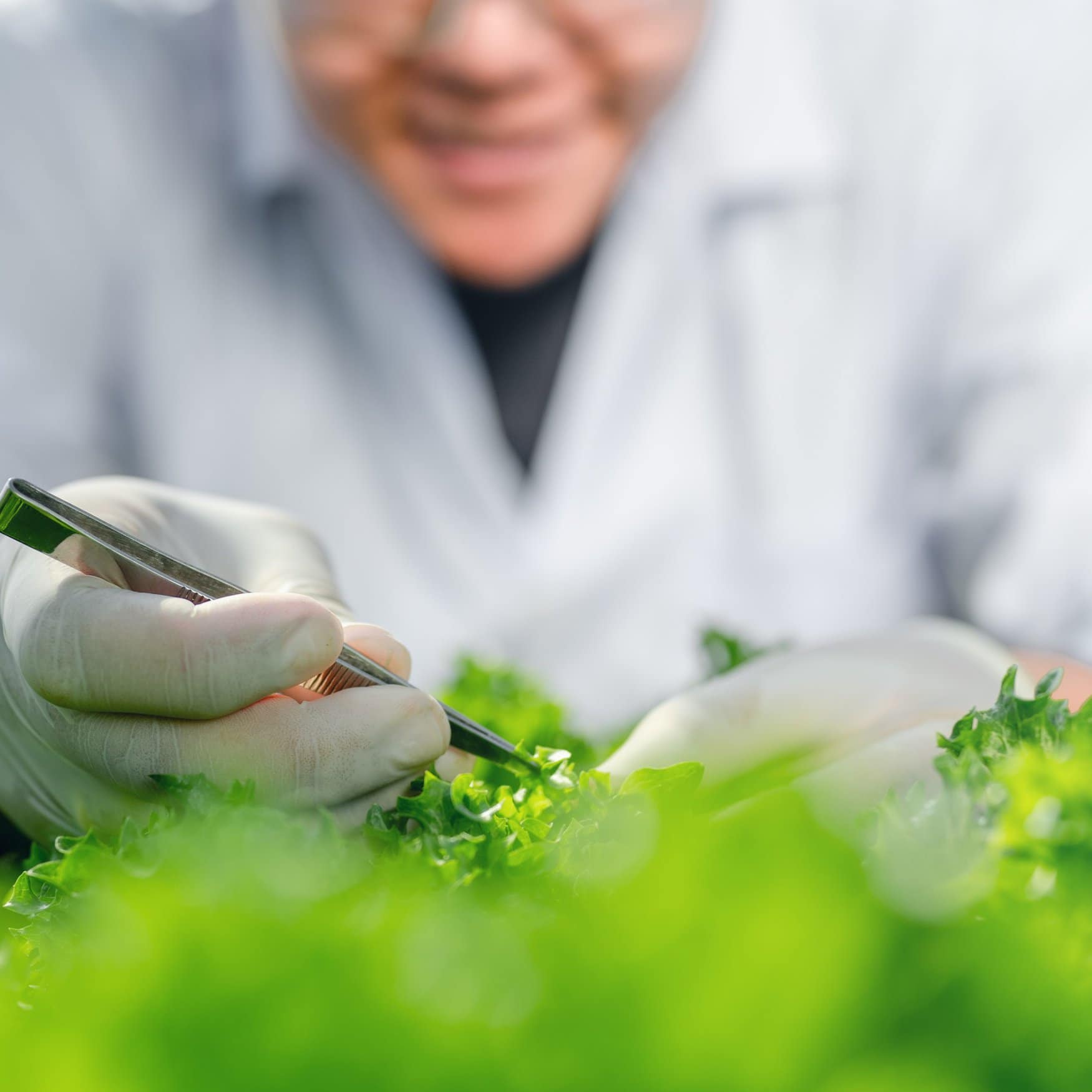 $23 million boost for horticultural research in Canada