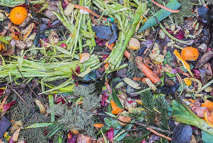 Walmart teams up with Denali to innovate food waste recycling