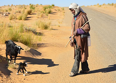 Collaborative efforts by CNH and Oxfam promote resilience and inclusion in Africa