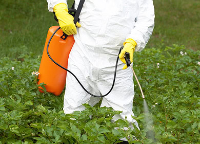 Canada intensifies measures against persistent environmental pollutants