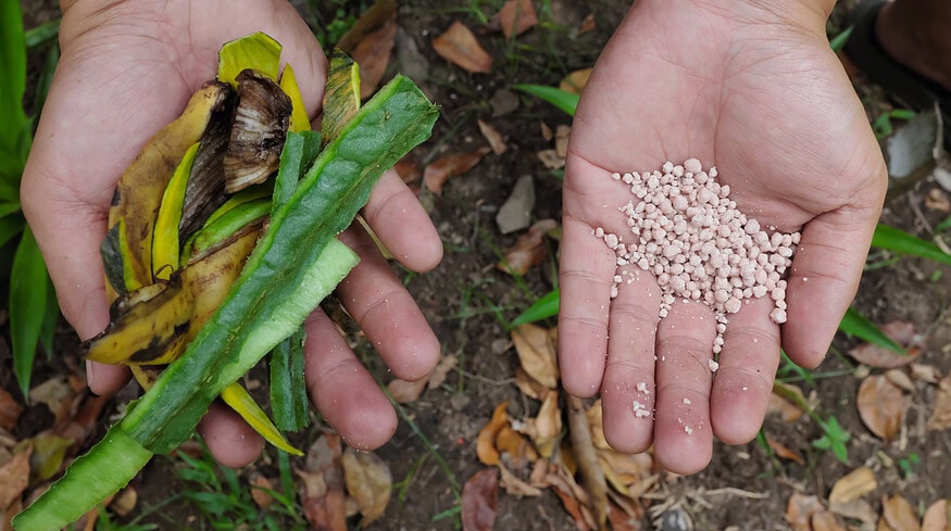 Philippines DA considers partnership with Vietnamese fertilizer giant