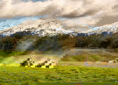 New Zealand’s nitrogen focused water quality monitoring undermined by incomplete reporting