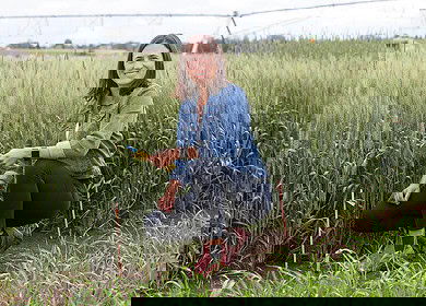 University of Saskatchewan appoints new chair in regenerative agriculture