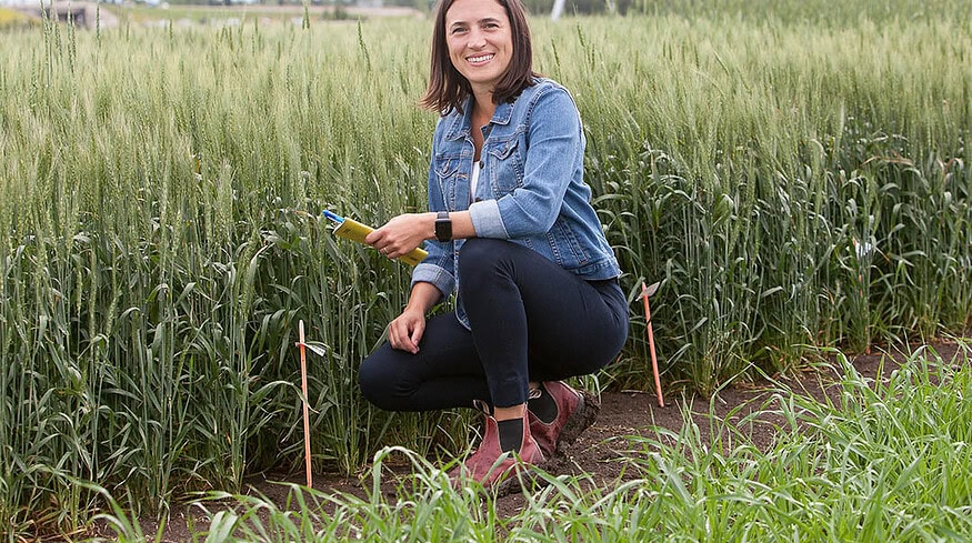 University of Saskatchewan appoints new chair in regenerative agriculture