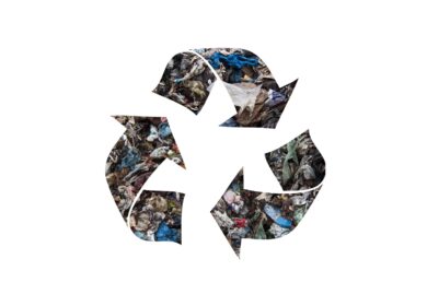 Transforming waste into fuel: Firefly Green Fuels and Synagro Technologies join forces