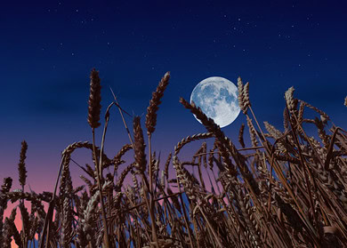 Chinese researchers discovered water-enriched mineral in lunar soil