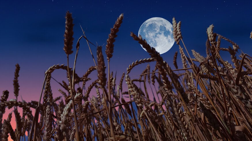 Chinese researchers discovered water-enriched mineral in lunar soil