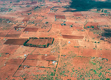 Soil acidity from fertilizers threatens African agriculture