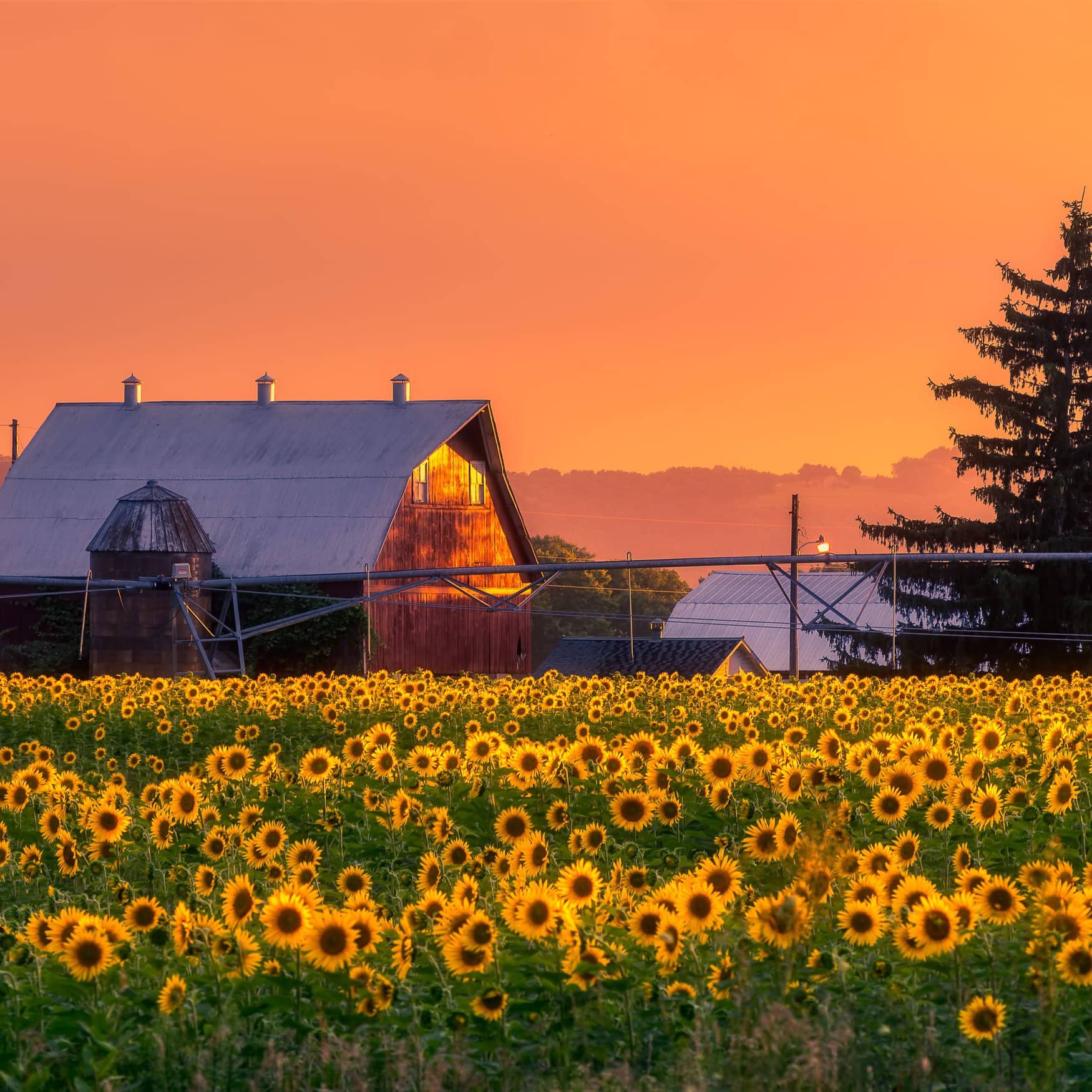 Young Wisconsin farmers adopt regenerative practices
