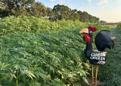 Carbon Chicken receives $591,000 USDA grant for carbon-negative agriculture initiative