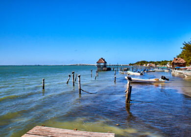 Gulf of Mexico’s nutrient pollution dead zone reaches 6,700 square miles in 2024
