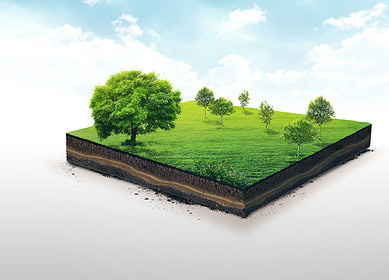 Soil microbial composition restores within 60 years after farming ceases — study