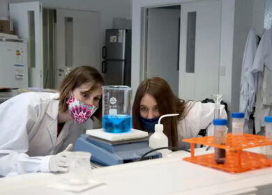 Innovative startup from Argentina taps prawn waste to cut agrochemical use