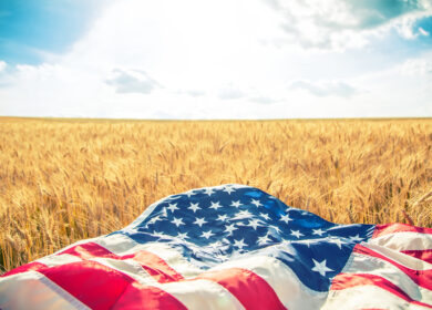 USDA approves Bioceres HB4 drought tolerant wheat for cultivation