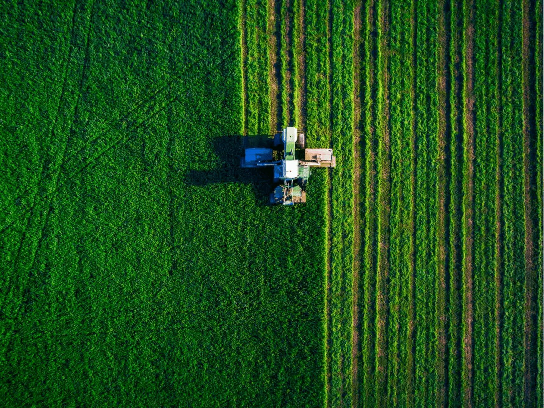 USDA invests $12 million in AdvanSix for fertilizer production growth