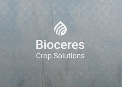 Bioceres ends 2024 fiscal year on high note with advances in agricultural biotech