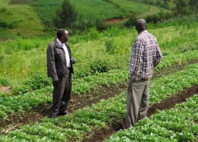 Syngenta launches ‘Climate Smart Project’ in North India