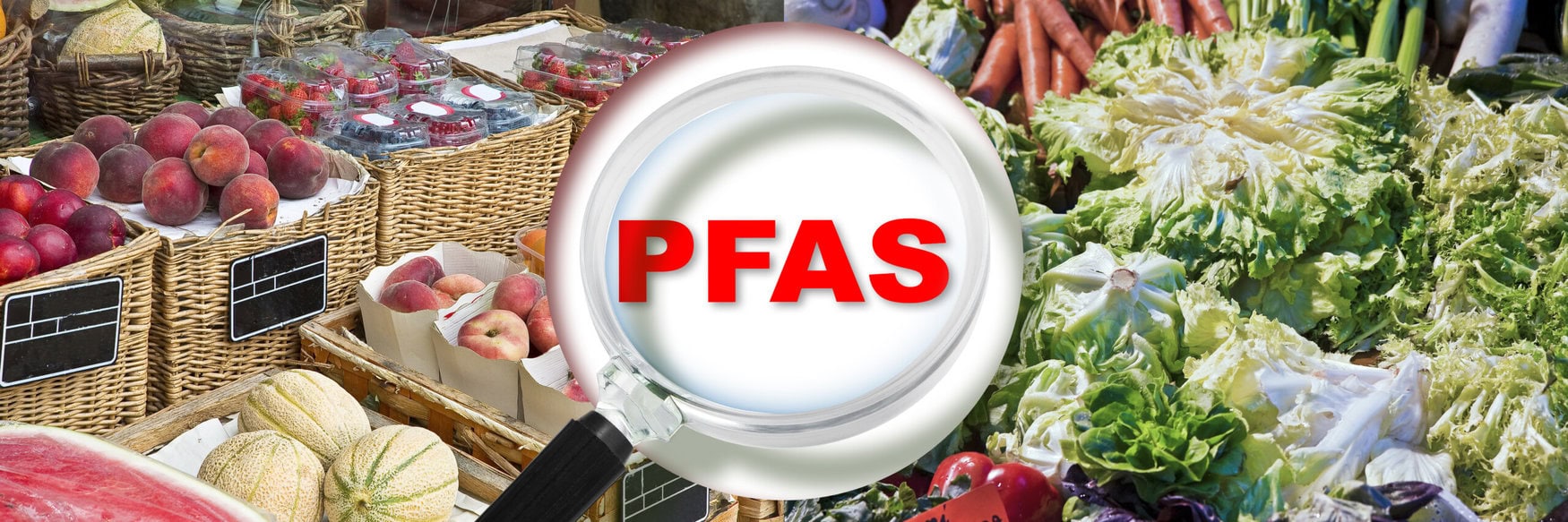 Texas Tech takes on ‘forever chemicals’ in farming with $1.6 million EPA grant