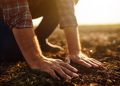 Soil profile tests can help you reduce fertilizer costs