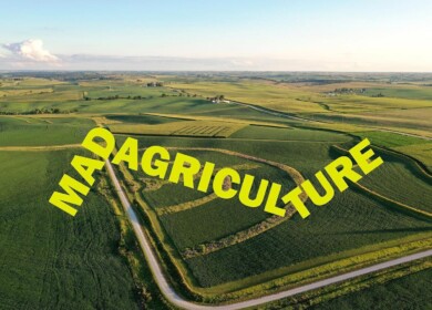 Mad Agriculture acquires Timeless Seeds to expand America’s regenerative organic farming