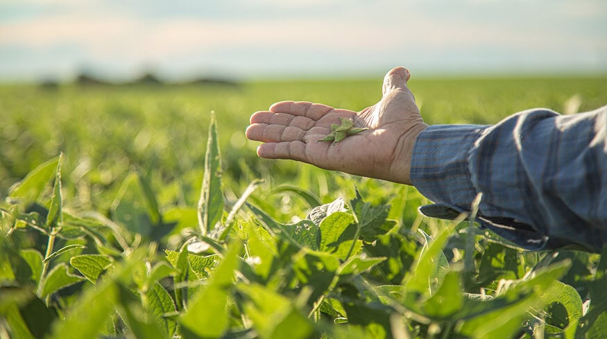 University of Illinois study questions nitrogen use in soybean farming