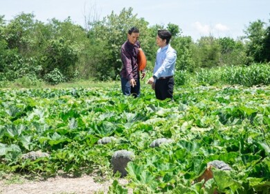 The strategy driving Rabbit Brand Fertilizer’s success