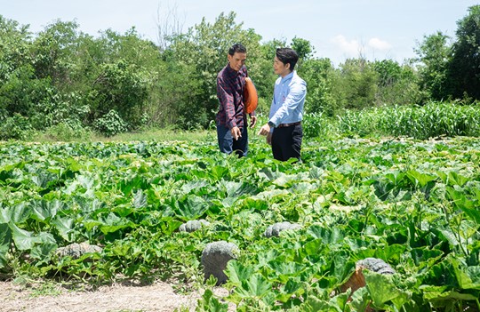 The strategy driving Rabbit Brand Fertilizer’s success