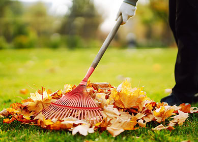 How to transition your garden for fall?