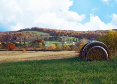 Ohio faces ‘new benchmark for dry’ as drought impacts 2024 crop yields